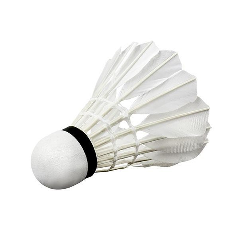 Wish badminton aileron S505-06, featherweight white
