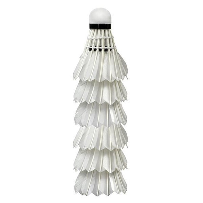 Wish badminton aileron S505-06, featherweight white