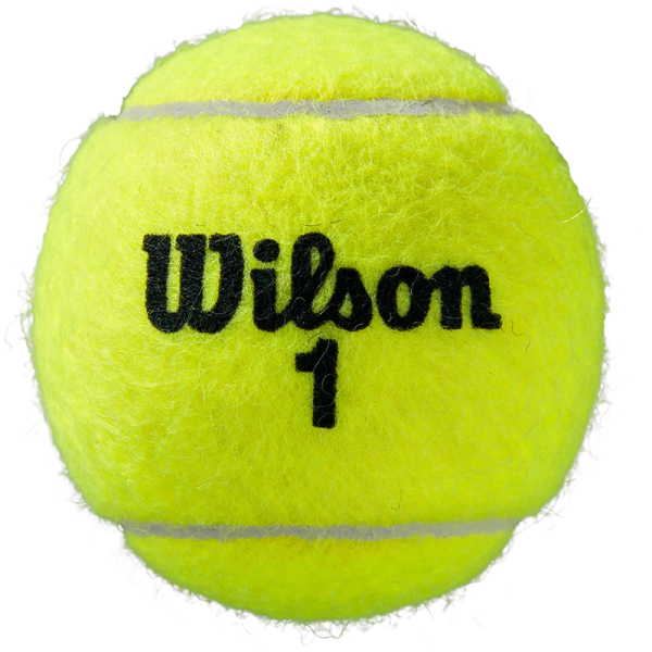 Wilson Roland Garros tennis ball