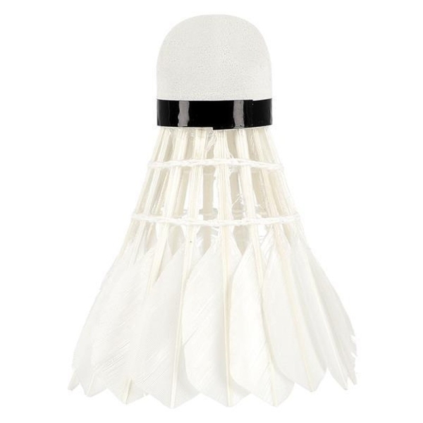 Wish PRO-808 badminton aileron, feather white