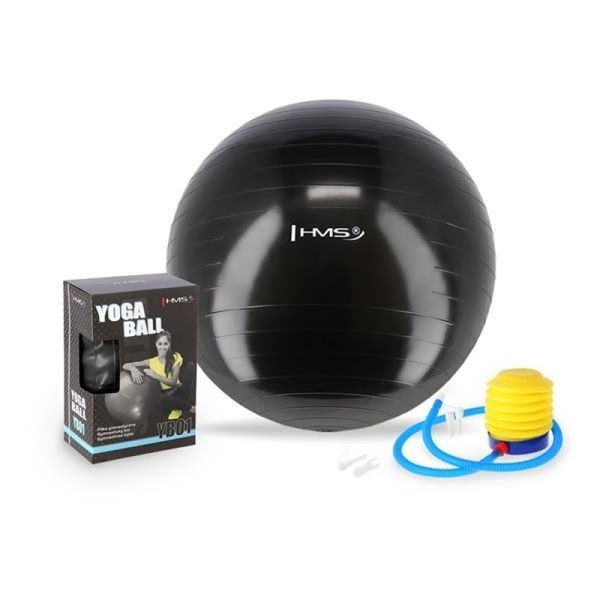 HMS gymnastic ball 55 cm, black color