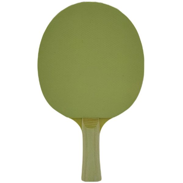 Point Blue table tennis racket