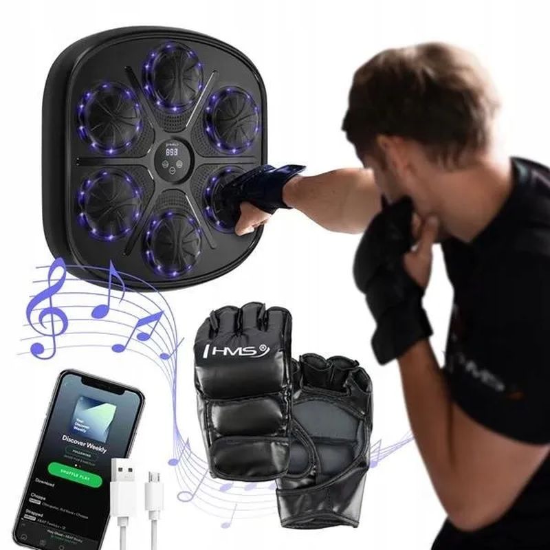 Electronic boxing shield with gloves Nils TB03,