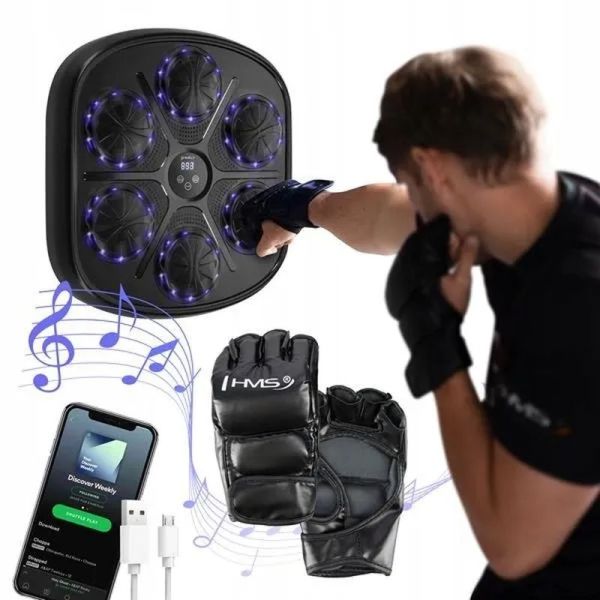 Electronic boxing shield with gloves Nils TB03,