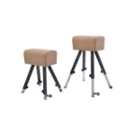 Gymnastic horse, gymnastic goat